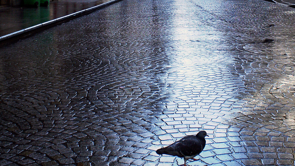 Calle mojada tras la lluvia
