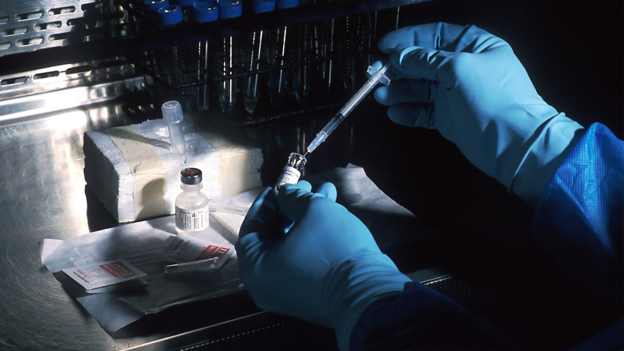 Ciencia y salud: desarrollo de vacunas