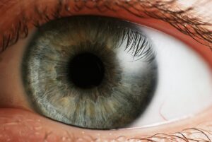 El ojo afina su visión transformando conos azules antes de nacer