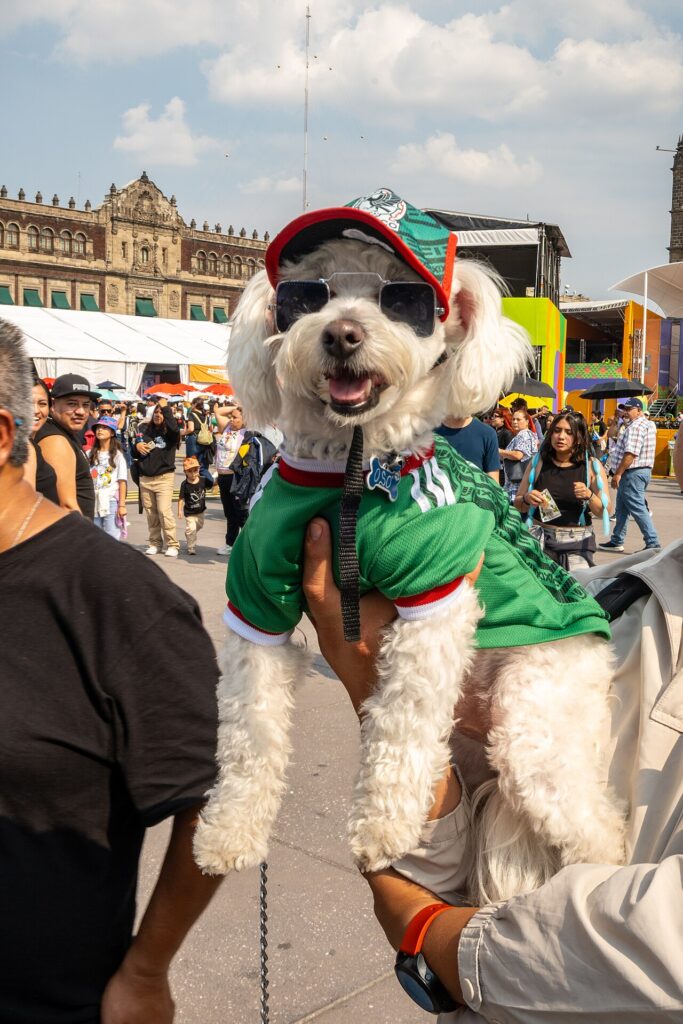 Aficionados mexicanos en el FIFA Fan Festival de la Ciudad de México durante el Mundial 2026
