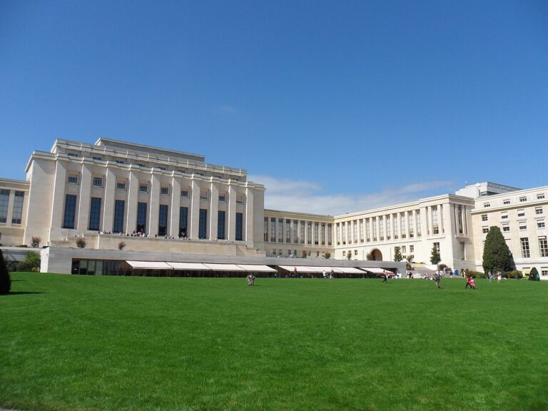 ONU lanza su primer informe mundial de IA: alerta a usuarios